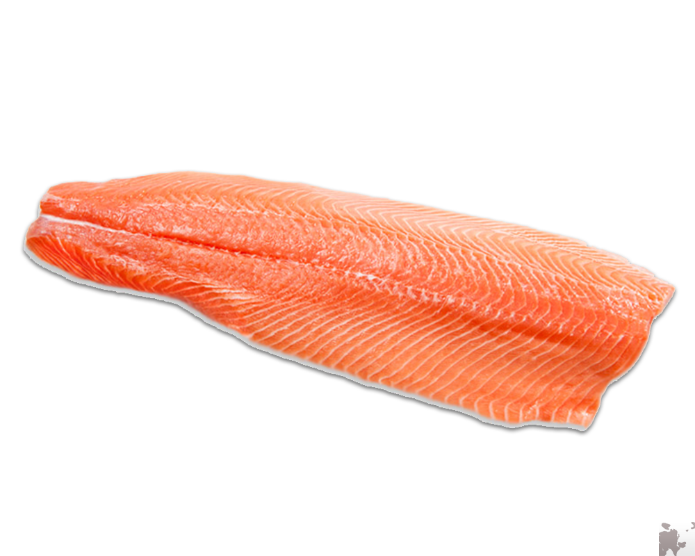 Cá hồi tươi fillet- Fresh Salmon fillet