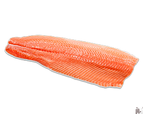 Cá hồi tươi fillet- Fresh Salmon fi