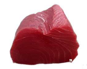 Cá ngừ đại dương fillet- Fresh Tuna