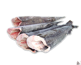 Cá tuyết (đen)- Cod fish